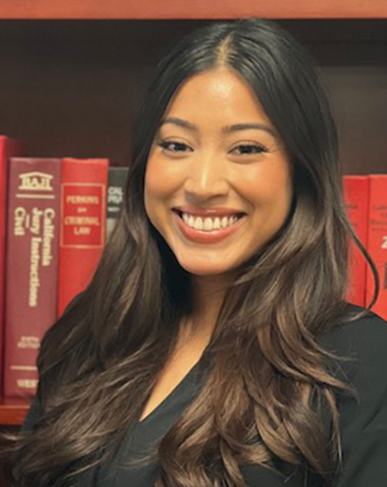 Meet Our Team Absolute Law Group